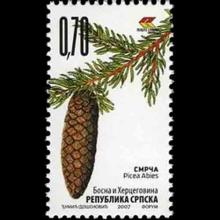 Bosnia and Herzegovina postage - Picea abies (European spruce)