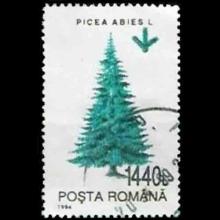 Romania postage - Picea abies (European spruce)