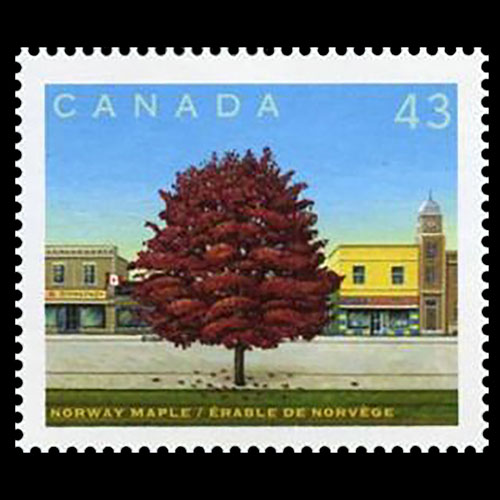 Canada postage - Acer platanoides (Norway maple)