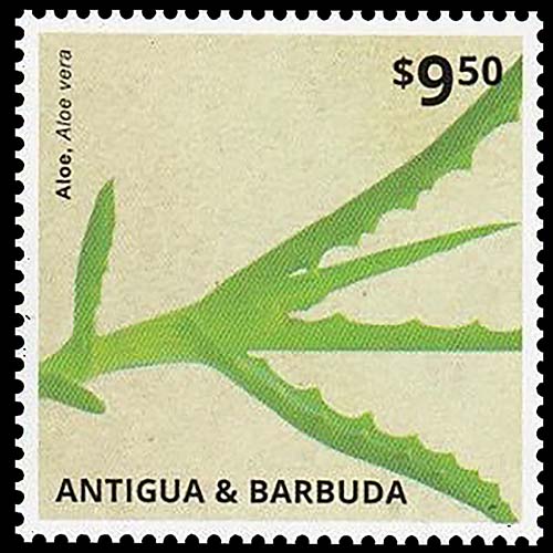 Antigua and Barbuda postage - Aloe vera (Burn plant)