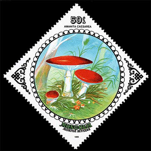 Mongolia postage - Amanita caesarea (Caesar's mushroom)