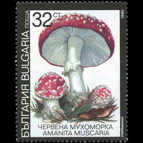 Bulgaria postage - Amanita muscaria (Fly agaric)