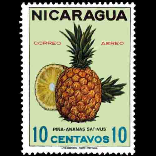 Nicaragua postage - Ananas comosus (Pineapple-aka Ananas sativas)