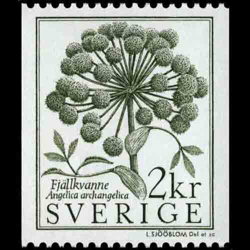 Sweden postage - Angelica archangelica (Norwegian angelica)