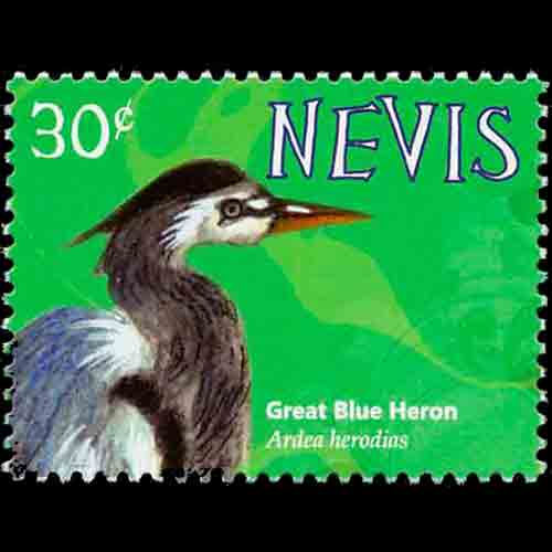 Nevis postage - Ardea herodias (Great blue heron)