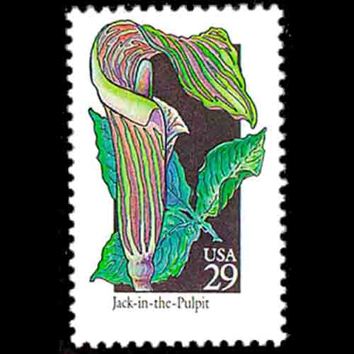 United States postage - Arisaema triphyllum (Jack-in-the-Pulpit)