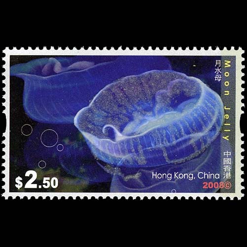 Hong Kong postage - Aurelia aurita (Common jellyfish)