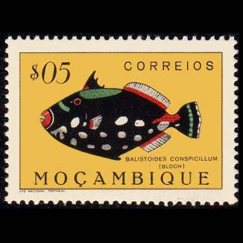 Mozambique postage -Balistoides conspicillum (Clown triggerfish)