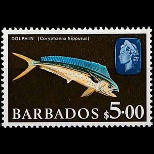 Barbados postage - Coryphaena hippurus (Mahi-mahi)