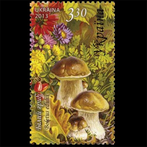 Ukraine postage - Boletus edulis (Porcini)