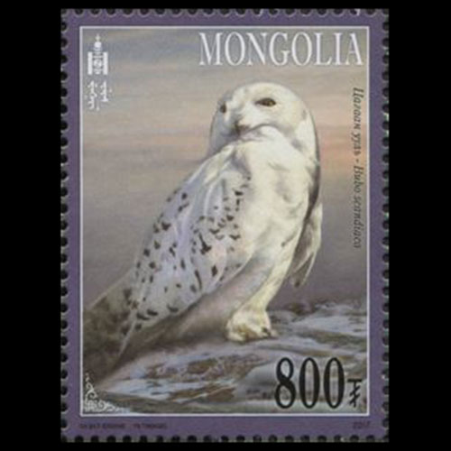 Mongolia postage - Bubo scandiacus (Snowy owl)
