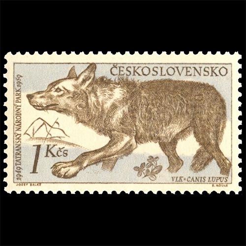 Czechoslovakia postage - Canis lupus (Gray wolf)