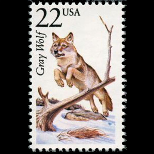 United States postage - Canis lupus (Gray wolf)