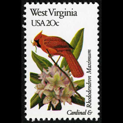 United States postage - Cardinalis cardinalis (Northern cardinal)