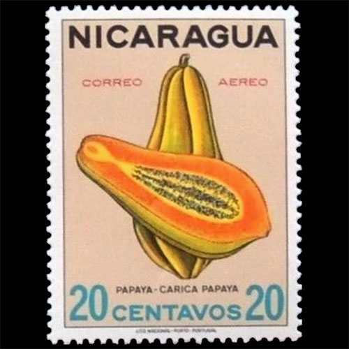 Nicaragua postage - Carica papaya (Papaya)