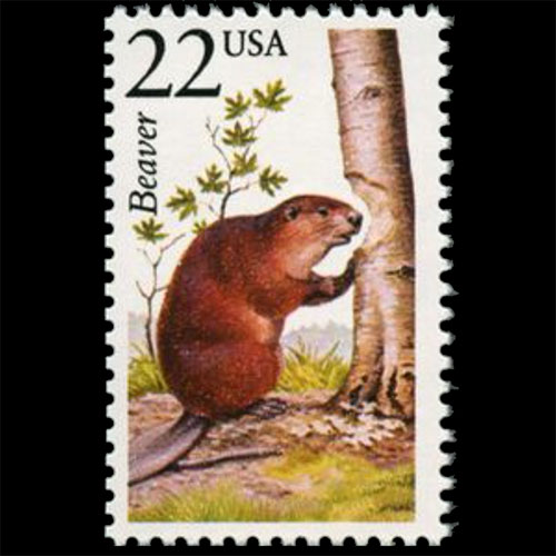 United States postage - Castor canadensis (North American beaver)
