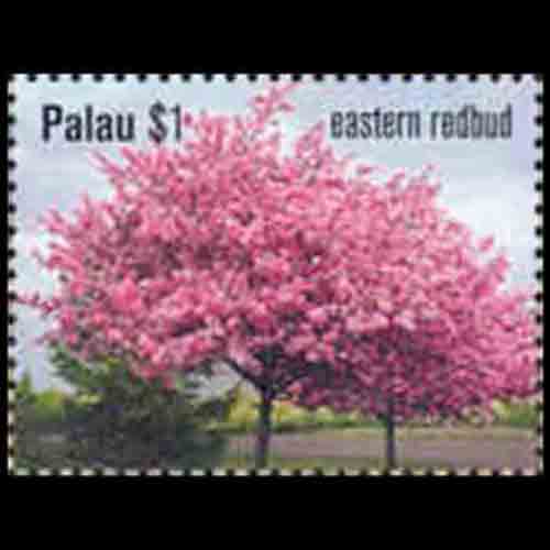 Palau postage - Cercis canadensis (Eastern redbud)