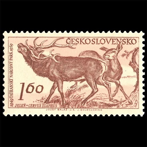 Czechoslovakia postage - Cervus elaphus (Red deer)