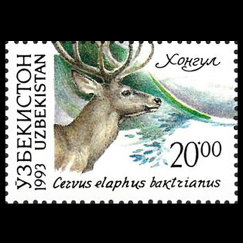 Uzbekistan postage - Cervus elaphusa (Red deer)