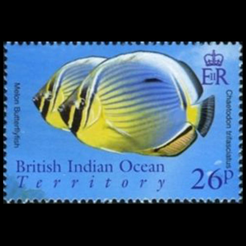 British Indian Ocean Territory postage - Chaetodon trifasciatus (Rainbow butterflyfish)