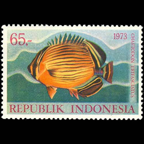 Indonesia postage - Chaetodon trifasciatus (Rainbow butterfly)