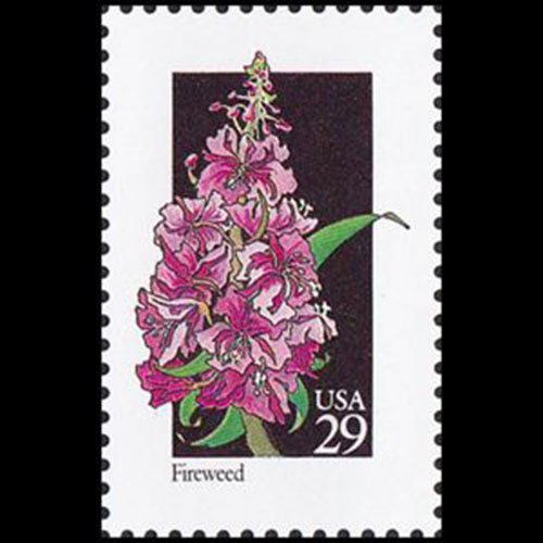 United States postage - Chamaenerion angustifolium (Fireweed)