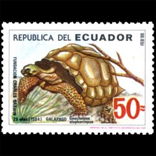 Ecuador postage - Chelonoidis nigra (Galápagos giant tortoise)