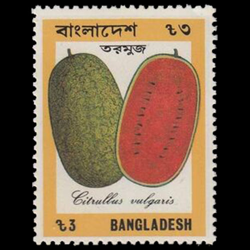 Bangladesh postage - Citrullus lanatus (Watermellon)