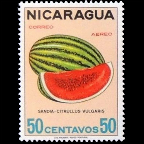 Nicaragua postage - Citrullus lanatus (Watermellon)