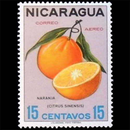 Nicaragua postage - Citrus x aurantium (Sweet orange)
