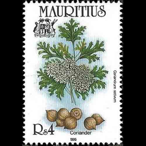 Mauritius postage - Coriandrum sativum (Cilantro)