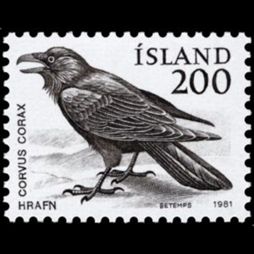 Iceland postage - Corvus corax (Common raven)