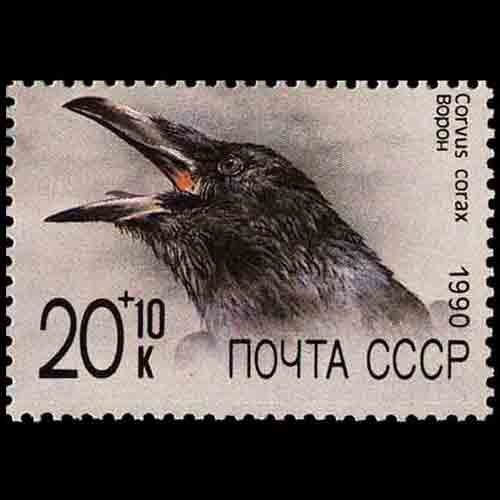 Soviet Union postage - Corvus corax (Common raven)