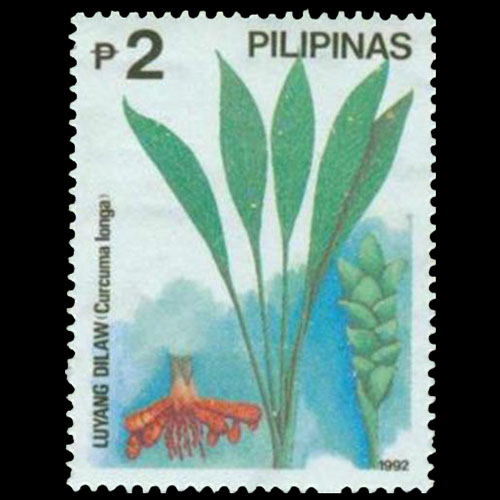 Philippines postage - Curcuma longa (Turmeric)