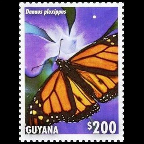 Guyana postage - Danaus plexippus (Monarch butterfly)