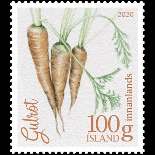 Iceland postage - Daucus carota (Queen Anne's lace)