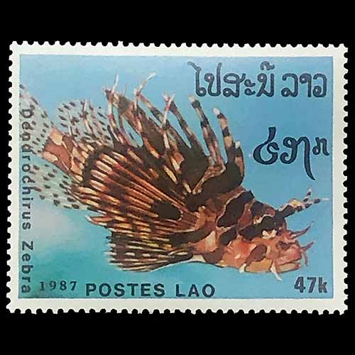 Laos postage-Dendrochirus zebra (Zebra turkeyfish)