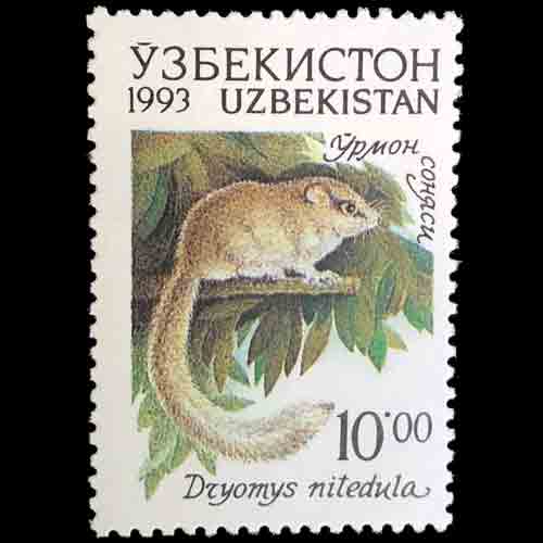 Uzbekistan postage - Dryomys nitedula (Forest dormouse)