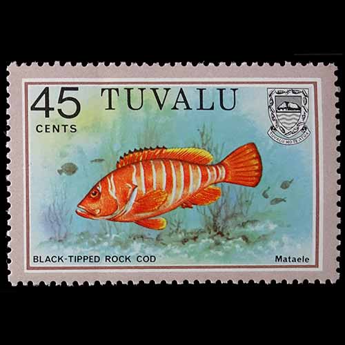 Tuvalu postage - Epinephelus fasciatus (Black-tipped rock cod)