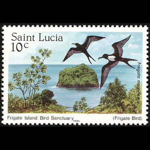 Saint Lucia postage - Fregata magnificens (Magnificent frigatebird)