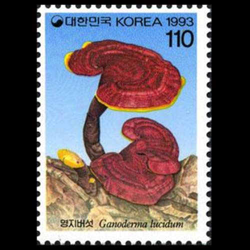 South Korea postage - Ganoderma lucidum (Bracket fungus)