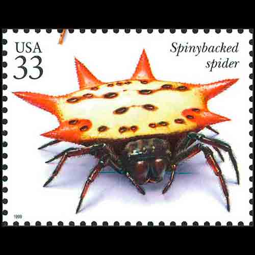 United States postage - Gasteracantha cancriformis (Spinybacked spider)