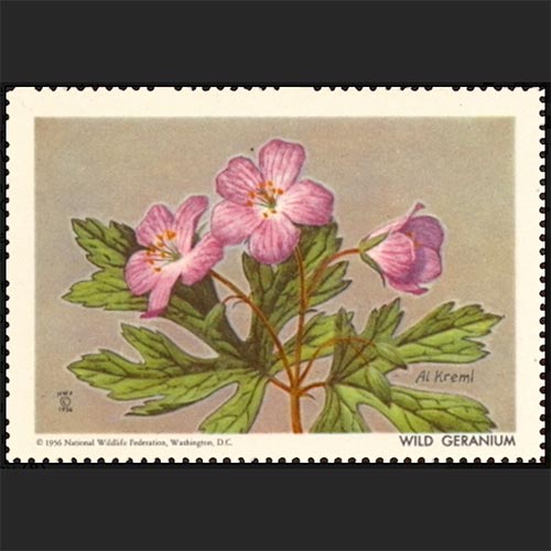 National WIldlife Federation postage - Geranium maculatum (Wild geranium)