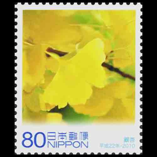 Japan postage - Ginkgo biloba (Maidenhair tree)
