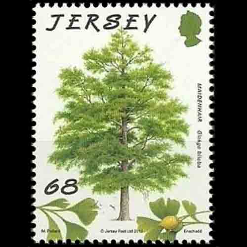 Jersey postage - Ginkgo biloba (Maidenhair tree)