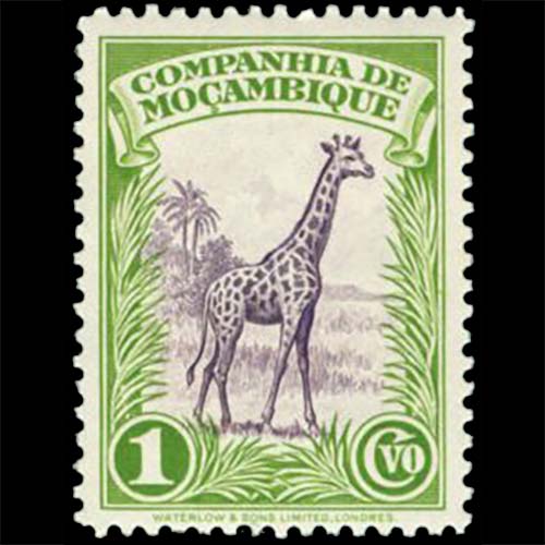 Mozambique Company postage - Giraffa camelopardalis (Northern giraffe)