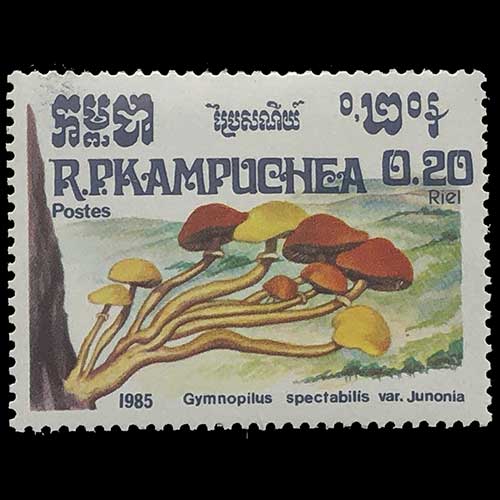 Cambodia postage - Gymnopilus junonius (Laughing cap)