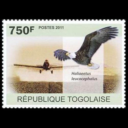 Togo postage - Haliaeetus leucocephalus (Bald eagle)