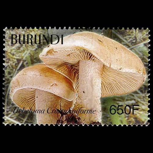 Burundi postage - Hebeloma crustuliniforme (Poison pie)
