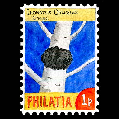 Philatia postage - Inonotus obliquus (Chaga)